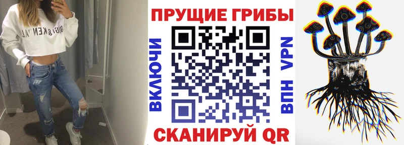 купить наркоту  KRAKEN как войти  Галлюциногенные грибы Magic Shrooms  Белоярский 